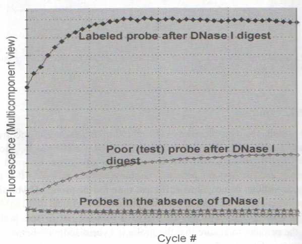 Problémy v qrt-pcr analýze Problém 5: Nefunguje sonda Řešení: Vyloučit lidskou chybu, přítomnost inhibitorů, nekvalitní templát, chyby v RT Kontrola pomocí SYBR Green nebo v