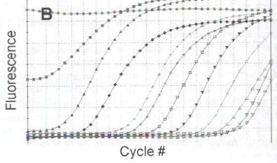 Problémy v qrt-pcr analýze Problém 9: Amplifikační grafy vypadají divně příliš mnoho templátu chybné nastavení baseline