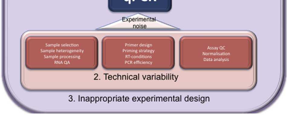 Variabilita a její příčiny Biologická variabilita experimenty odrážejí různorodost reality nebudou nikdy identické Technická variabilita chyby v měření, znemožňující adekvátní popis