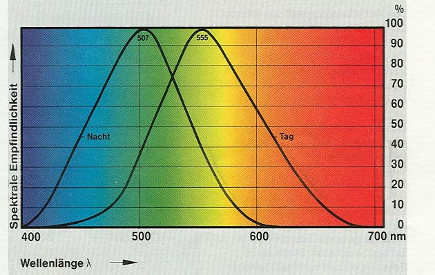 SVĚTLO viditelné záření zhodnocené zrakem pozorovatele podle spektrální citlivosti zraku k záření různých vlnových délek s(λ) poměrná spektrální citlivost zraku s(λ)