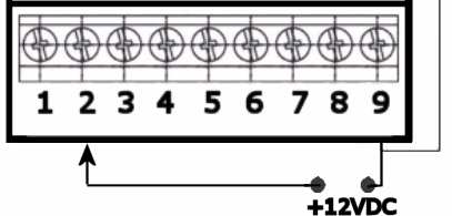 Příklad 2: K aktivaci vstupu1 je možné přivedení kladného potenciálu na pin2, tak jak je zobrazeno na obrázku, vůči zemnící svorce 9. Analogicky platí totéž pro aktivaci vstupu2 na pinu 3.