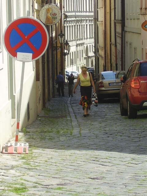 ovlivňující: velvyslanectví, sídlo ODS a Pražský Hrad a nejen na něj napojený turistický ruch).