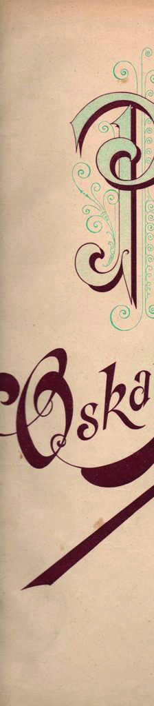 8 Malý Oskar Nedbal. Karel Nedbal. Rodina Nedbalova Rodina advokáta JUDr. Karla Nedbala (1836 1889) se od roku 1864 (kdy se přistěhovala do Tábora) výrazně podílela na kulturním životě města.