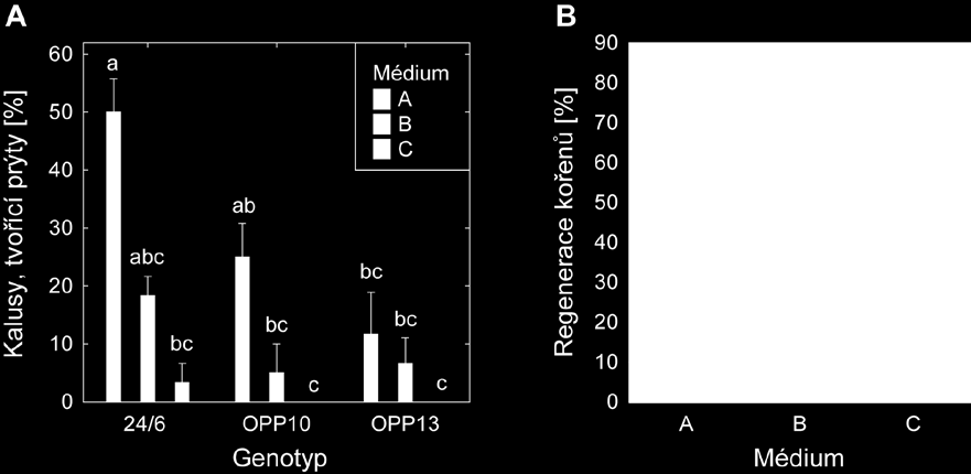 Regenerace kořenového systému genotypu 24/6 byla zjištěna na všech testovaných médiích (obr. 1B). Nejvyšší frekvence tvorby kořenů bylo dosaženo na médiu A2 (82 %), následovaná Obr.