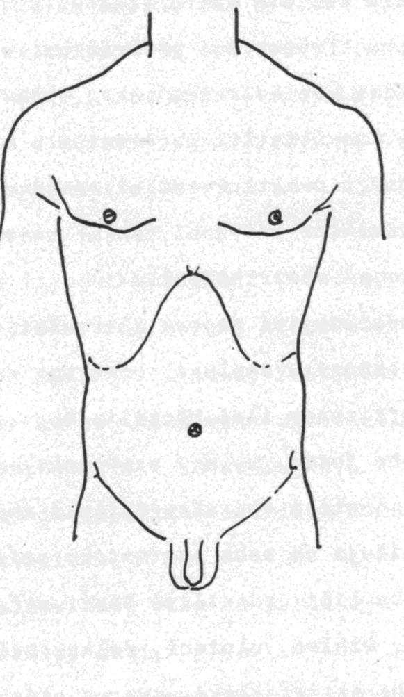 Terminologie směrů na těle TRUNCUS Ventralis - dorsalis Lateralis - medialis Dexter - sinister Superior i