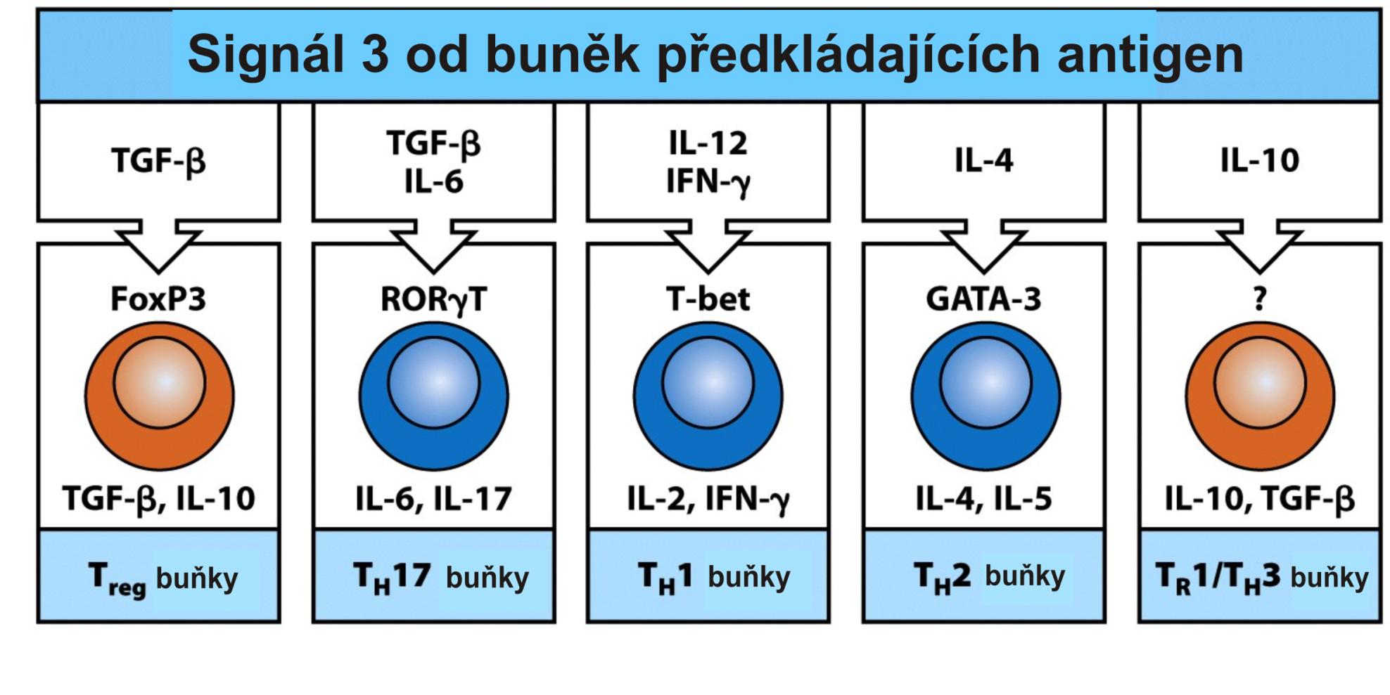 Variabilita signálu 3 od APC zajišťuje