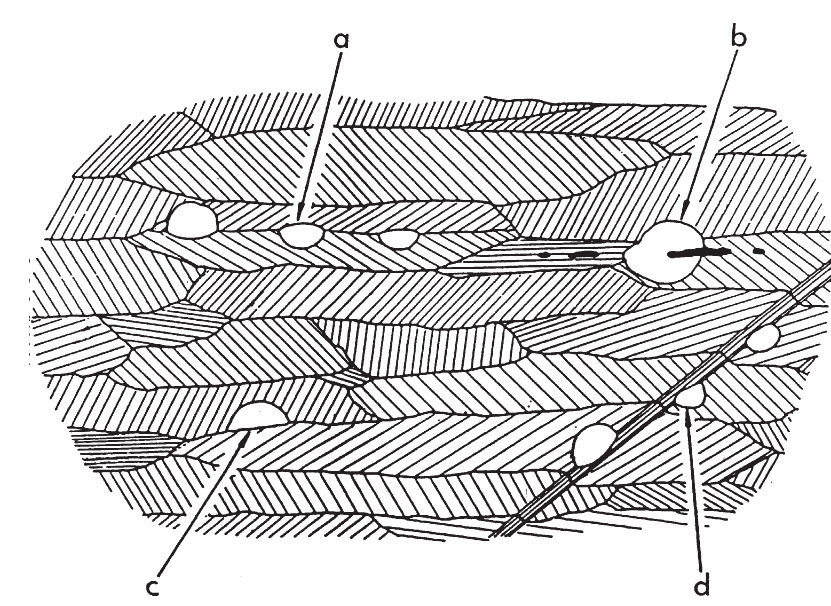 Na obr. 7 je znázorněn vývoj struktury během válcování. Skluz proběhl uvnitř jednotlivých zrn. Zrna se protahují, a tím vzroste celková plocha hranic zrn.