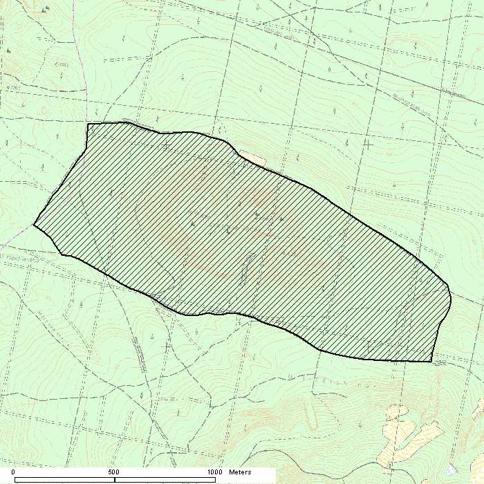 Kód lokality: CZ0513255 Biogeografická oblast: kontinentální Rozloha lokality: 138,4586 ha Druhy: (symbol * označuje prioritní druhy) tesařík alpský