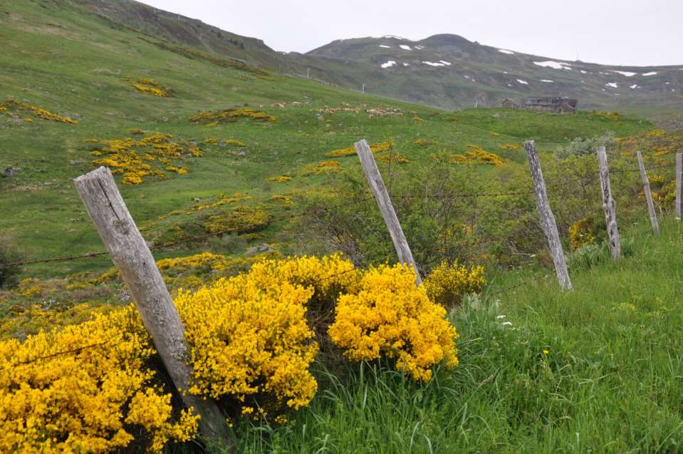 Nejvyšší vrchol Monts du Cantal