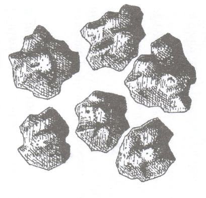 Obr. 1.1. 7 Kostečková struktura (převzato Tomášek, 2003) Hrubě polyedrická struktura nejčastěji se vyskytuje v iluviálních horizontech.