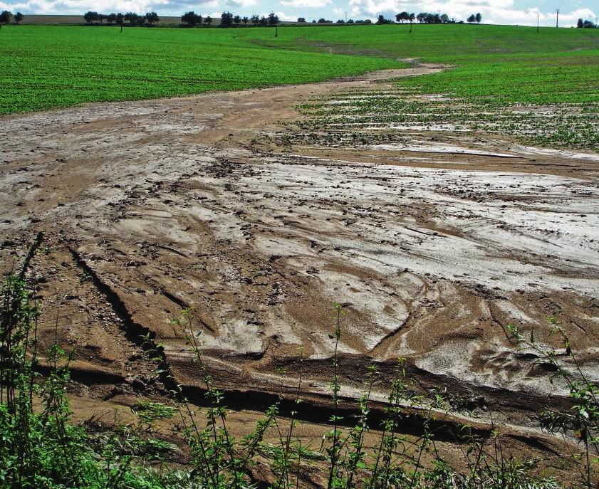 Agroenvironmentálně-klimatická opatření Program rozvoje venkova 2014 2020 Zatravňování drah soustředěného odtoku