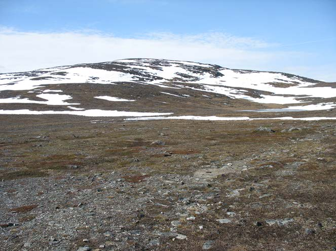 Náhorní plató Krkonoš v té době mohla vypadat např. podobně jako současná v oblasti Jotunheimen a Dovrefjellu.