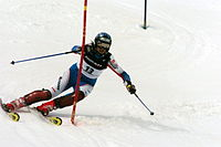 Alpské lyžování Alpské lyžování (někdy zvané sjezdové lyžování) je disciplína závodního lyžování, v níž se závodník snaží o projetí dané trati ze svahu dolů v co nejkratším čase.