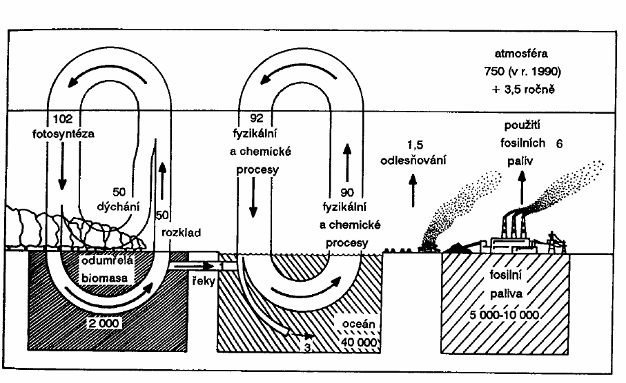 Schéma globálního cyklu uhlíku Zásoby uhlíku na Zemi (vyjádřeno jako hmotnost