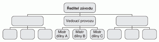 Obr. č. 3: Liniová organizační struktura Zdroj: [9] 4.1.