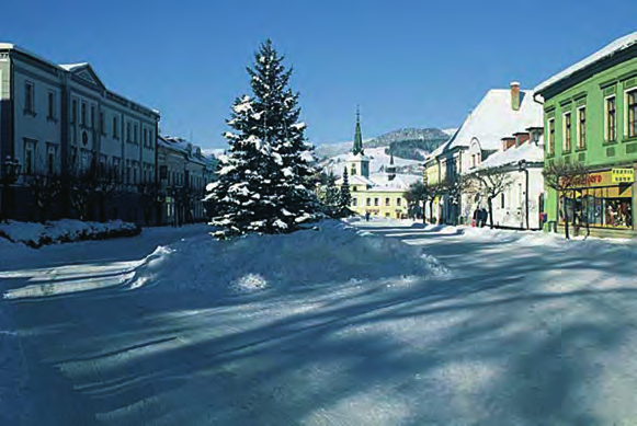 Dolný Kubín Mestské športové zariadenia Športovcov 1182/5, 026 01 Dolný Kubín tel.