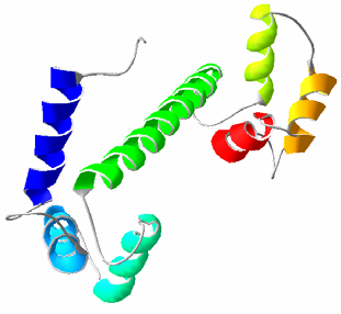 Kalmodulin vysoce konservovaný regulační protein eukaryotních buněk účastní se mnoha buněčných procesů metabolismus glykogenu, přenos nervových impulsů,