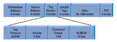 Obr. 4.2 Trunk linka mezi přepínači K identifikaci příslušné VLAN dochází ve formátu rámce Ethernet. Používá se hlavička obsahující číslo VLAN v rozsahu 0-4095 vložená do pole Tag Header.