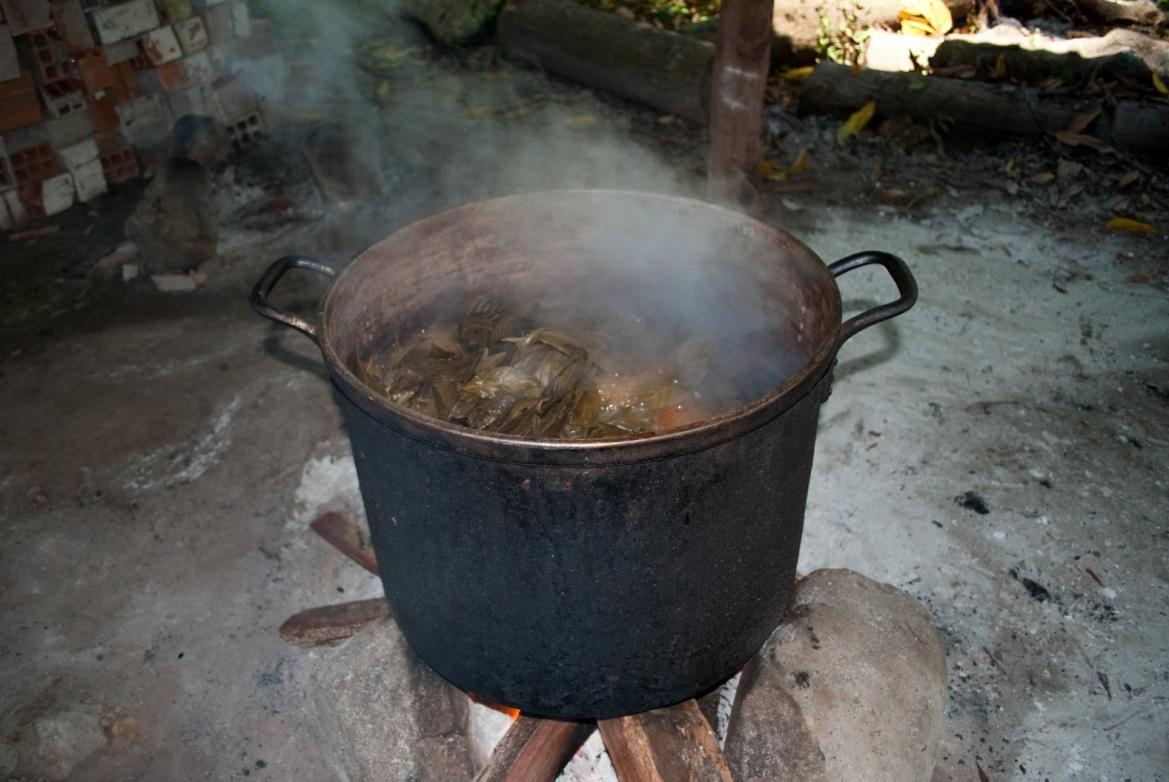 Obr. č. 16: Pro přípravu 4 litrů Ayahuasky je třeba přibližně 240 litrů vody. 7.5.3.