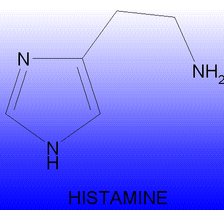 Basofily obsahují heparin a histamin Negativně nabité funkční skupiny kyselý charakter Obrázky převzaty z