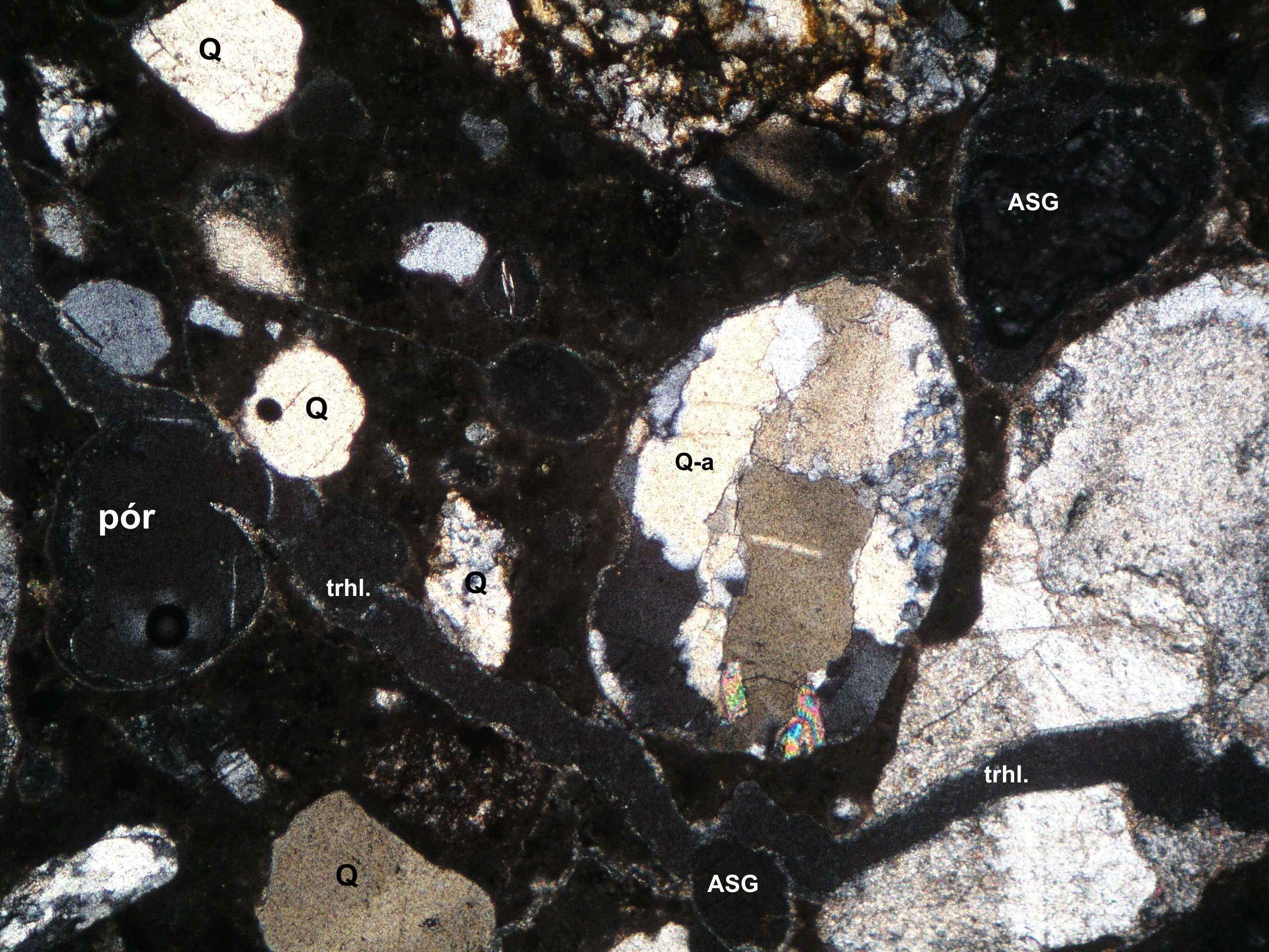Obr. 15. Mikrofotografie z výbrusu 37B vrtné jádro D1PA1; obsahující: úlomek biotitického granodioritu; trhlinu (trhl.), křemeny (Q), živec (f), póry.