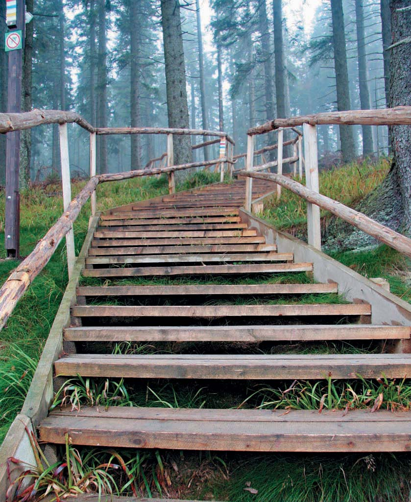 Šumava I Sešlap půdy NPR Boubín neprospívá