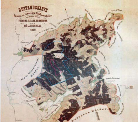 Šumava I Boubín a staré lesnické mapy pralesa a pralesovitých zbytků.