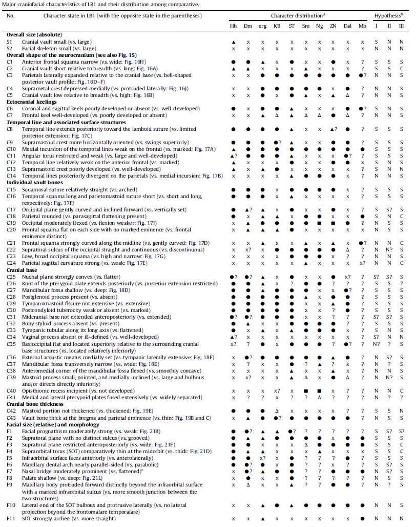 Kraniofaciální morfologie H. floresiensis (2011) srovnání hobitích znaků s H. habilis (Hh), různými erektiny, H. georgicus (Dm) a H.