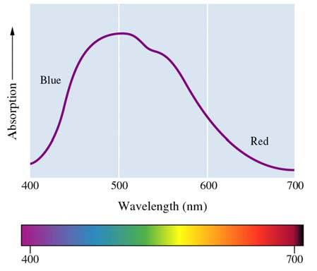 I = I 0 exp[ ε(λ) cd] % Transmitance = (I / I 0 ) 100 Lambert-Beerův zákon Absorbance = log(i / I 0 ) = ε(λ) c d ε(λ) = molární