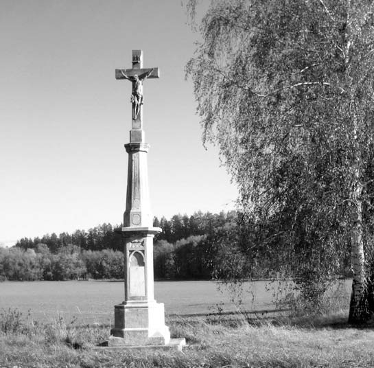 strana 2 2/2013 akce bylo i pfieloïení chodníku a zabránûní prûniku vody z parku Rozárka do sklepa rodinného domu ã.p. 24. Zde jsme se o náklady podûlili s majiteli domu.