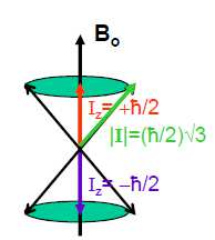 Vliv magnetického pole Energie µ v poli B o E = -µ B o pro jednu hladinu: E m = -m B o γ ħ