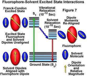Fluorescence Z Jablonskiho diagramu vyplývá, že energie emitovaného záření (fluorescence) je typicky nižší než energie