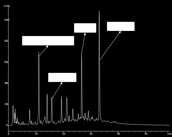 Chromatogram 14: Pyra K 2