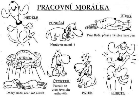 Dobrodružný plán 20. týden 9. - 13. ledna 2017 5. ročník Dobrodruh/Dobrodružka: Co nás čeká tento týden: Milí dobrodruhové, v tomto týdnu nás čeká příprava na pololetní testování.