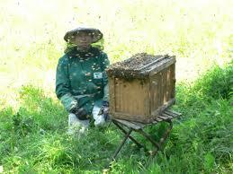 KONTROLNÍ TEST 20: Řešení 1. Co je rojení včel : přirozený způsob rozmnožování včelstva 2. Co předchází rojení: rojová nálada 3. Co je příčinou rojení : nedostatek místa v úle a vysoká teplota 4.