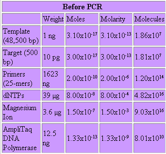 PCR komponenty Templátová DNA vzorek k amplifikaci Primery krátké specifické úseky DNA zaručující specifitu amplifikace datp, dttp, dctp, dgtp volné stavební jednotky DNA Thermostabilní DNA