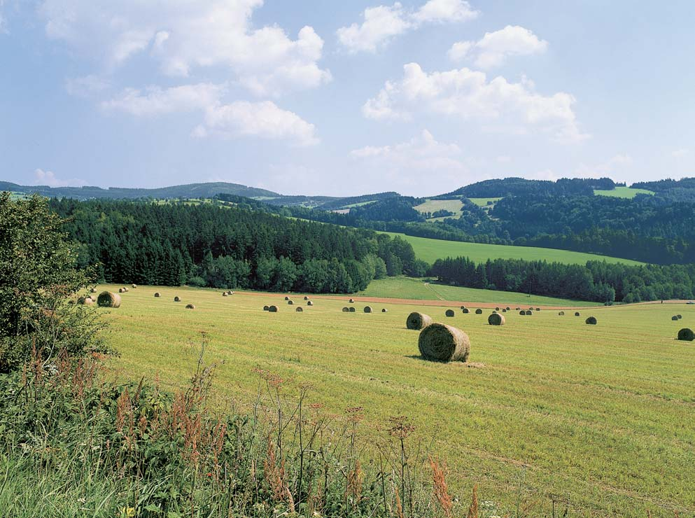 Pardubicko Pfiírodní park Such vrch Buková hora Byl zfiízen v roce 987 jako oblast klidu dle zákona ã. 40/956 Sb.