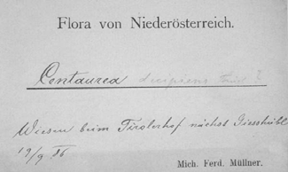 Kříženci Obr. 9.3 Navrhovaný lektotyp jména Centaurea muellneri BECK celá položka W 10684 a detail jednoho zákrovu, štítku se zákrovními listeny, Beckova revizního štítku a schedy.