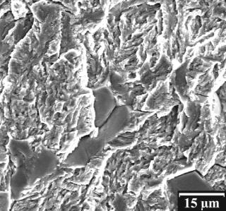 v B-voda /v vzduch [1] 3 Austenitická ocel AISI 304L T = 0 C, R = 0,3,5 K = 0 MPa.m 1/ K 1,5 K = 5 MPa.m 1/ K = 30 MPa.m 1/ 1 K = 35 MPa.m 1/ 0,5 0 podíl interkrystalického lomu [%] 0 1 3 4 5 6 7 Obr.