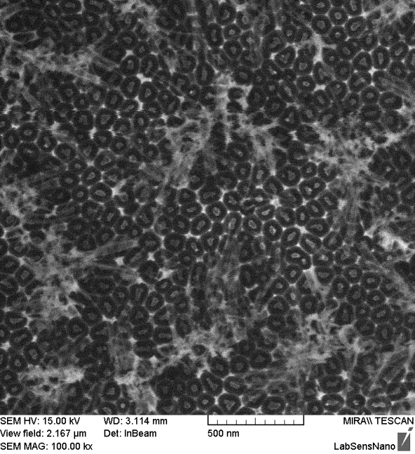 Obr. 10 SEM snímek s TiO 2 nanotečkami vyrobenými ve 2 M H 2 SO 4 vlevo, a v 0,3 M (COOH) 2 vpravo.