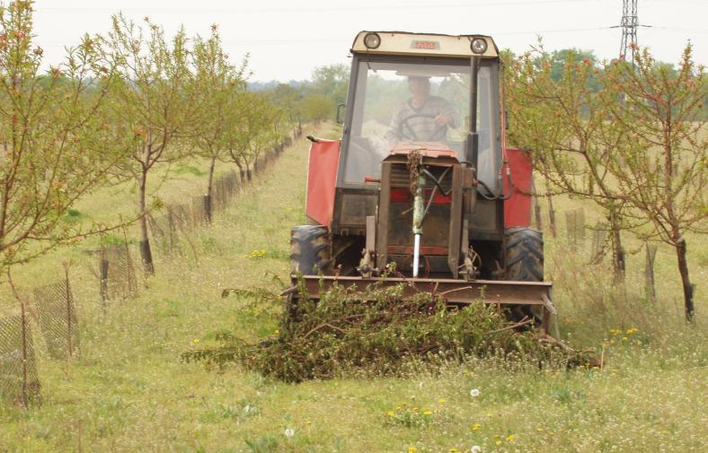 Obr. 5: Traktor s vidlemi vyhrnování odpadního dřeva v ovocné výsadbě (BURG, 2007) 3.4.