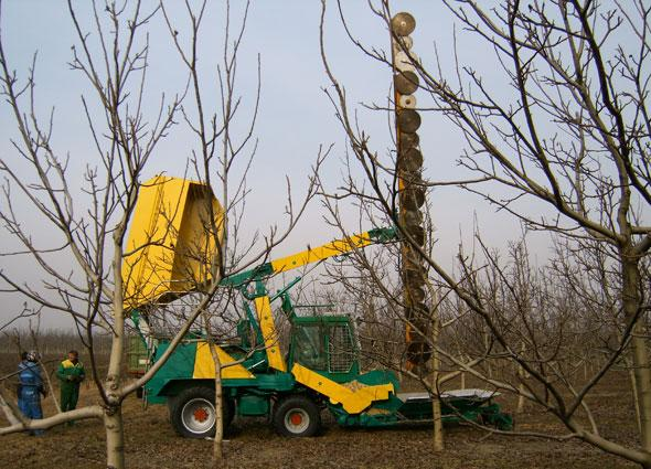 Drcení odpadního dřeva z ovocných výsadeb Moderní trendy v této oblasti představují stroje, které při provádění mechanizovaného konturového řezu soustřeďují odřezané větve pomocí skluzů do pracovního