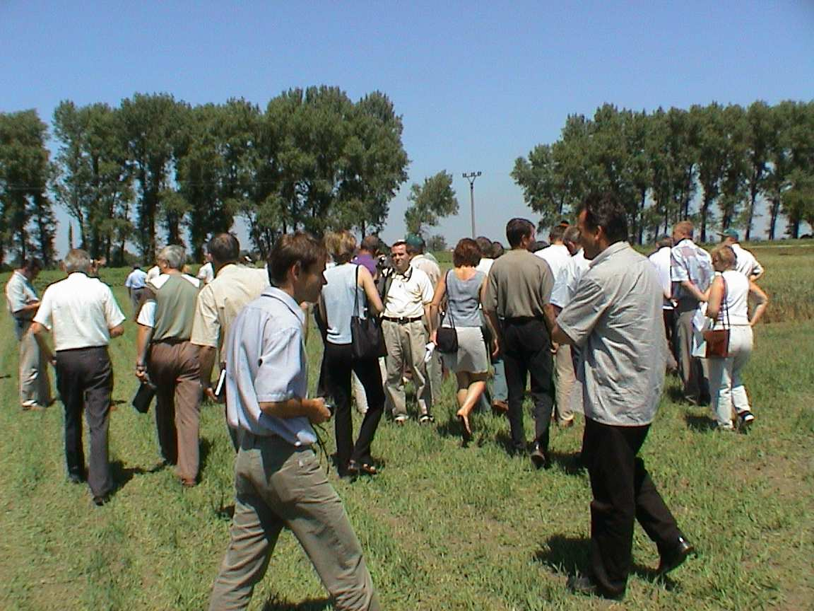 ZDRUŽENIE PRE ROZVOJ BEZORBOVÝCH TECHNOLÓGIÍ V RASTLINNEJ VÝROBE SLOVAK NO TILL CLUB Výskumný ústav rastlinnej výroby,