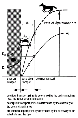 Difuzní modely Řídícím mechanismem je difúze molekul do vlákna.