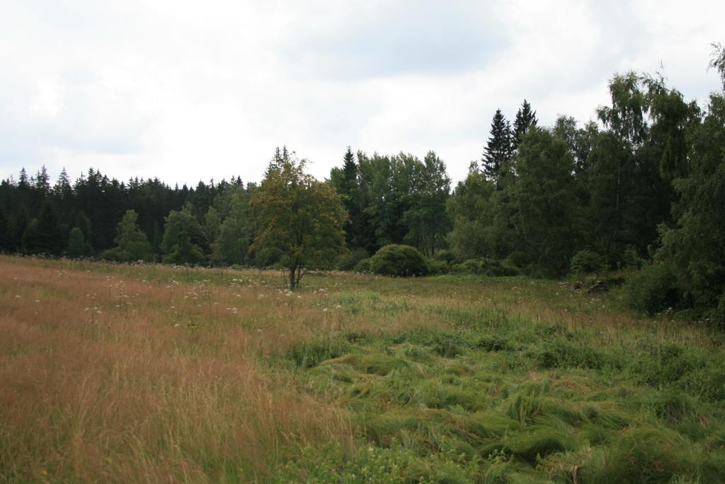 SVINNÁ NA ŠUMAVĚ OSTRUŽNÁ, VÝSTAVBA RYBNÍKA NA PPČ.