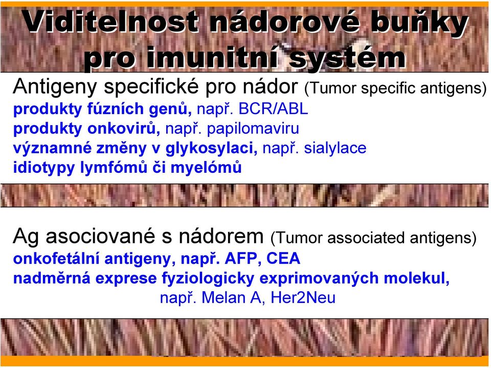sialylace idiotypy lymfómů či myelómů dor (Tumor specific antigens) Ag asociované s nádorem n (Tumor