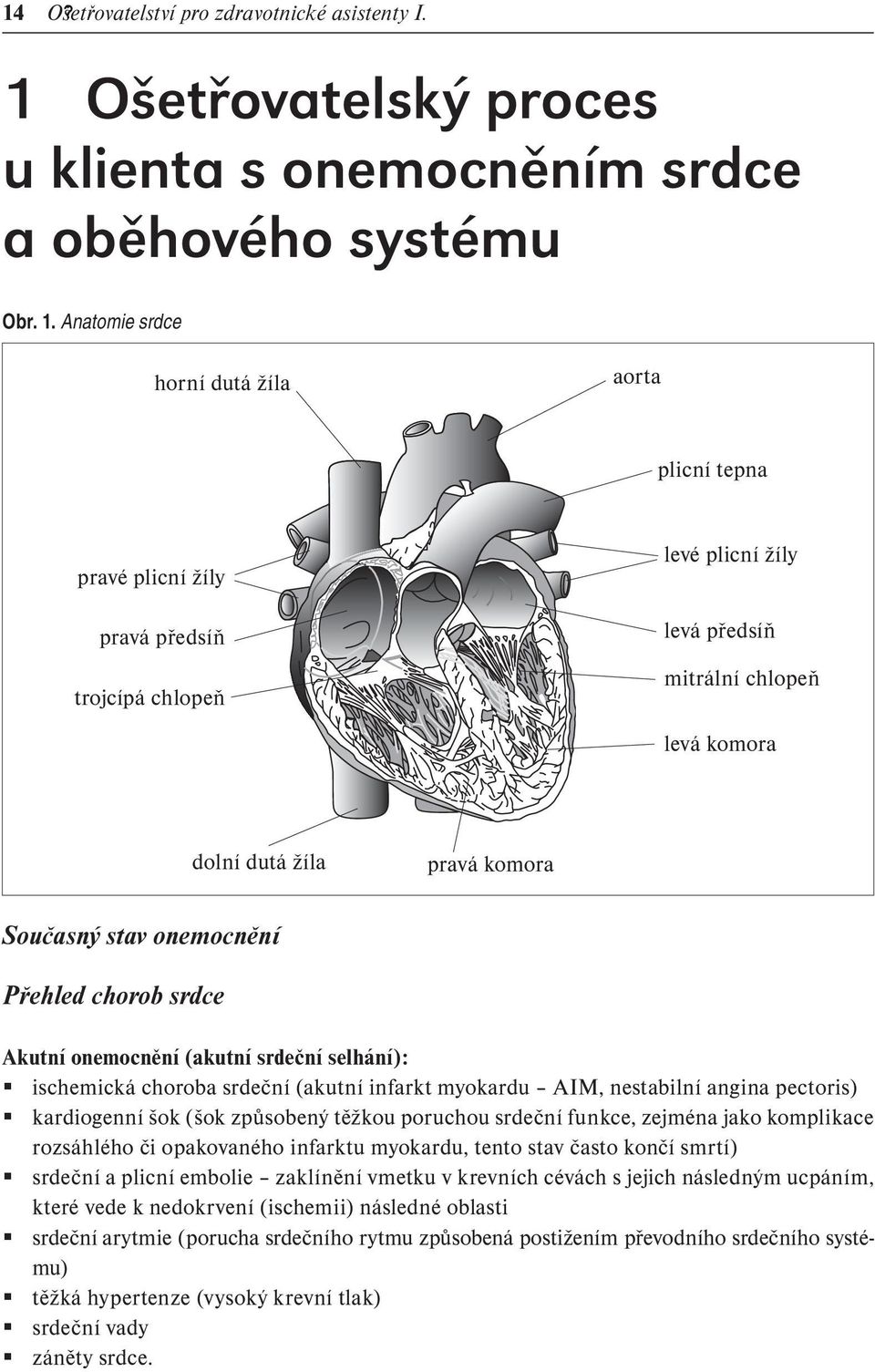 Anatomie srdce horní dutá žíla aorta plicní tepna pravé plicní žíly pravá předsíň trojcípá chlopeň levé plicní žíly levá předsíň mitrální chlopeň levá komora dolní dutá žíla pravá komora Současný