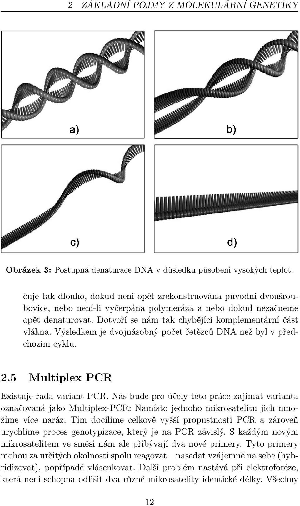 Dotvoří se nám tak chybějící komplementární část vlákna. Výsledkem je dvojnásobný počet řetězců DNA než byl v předchozím cyklu. 2.5 Multiplex PCR Existuje řada variant PCR.