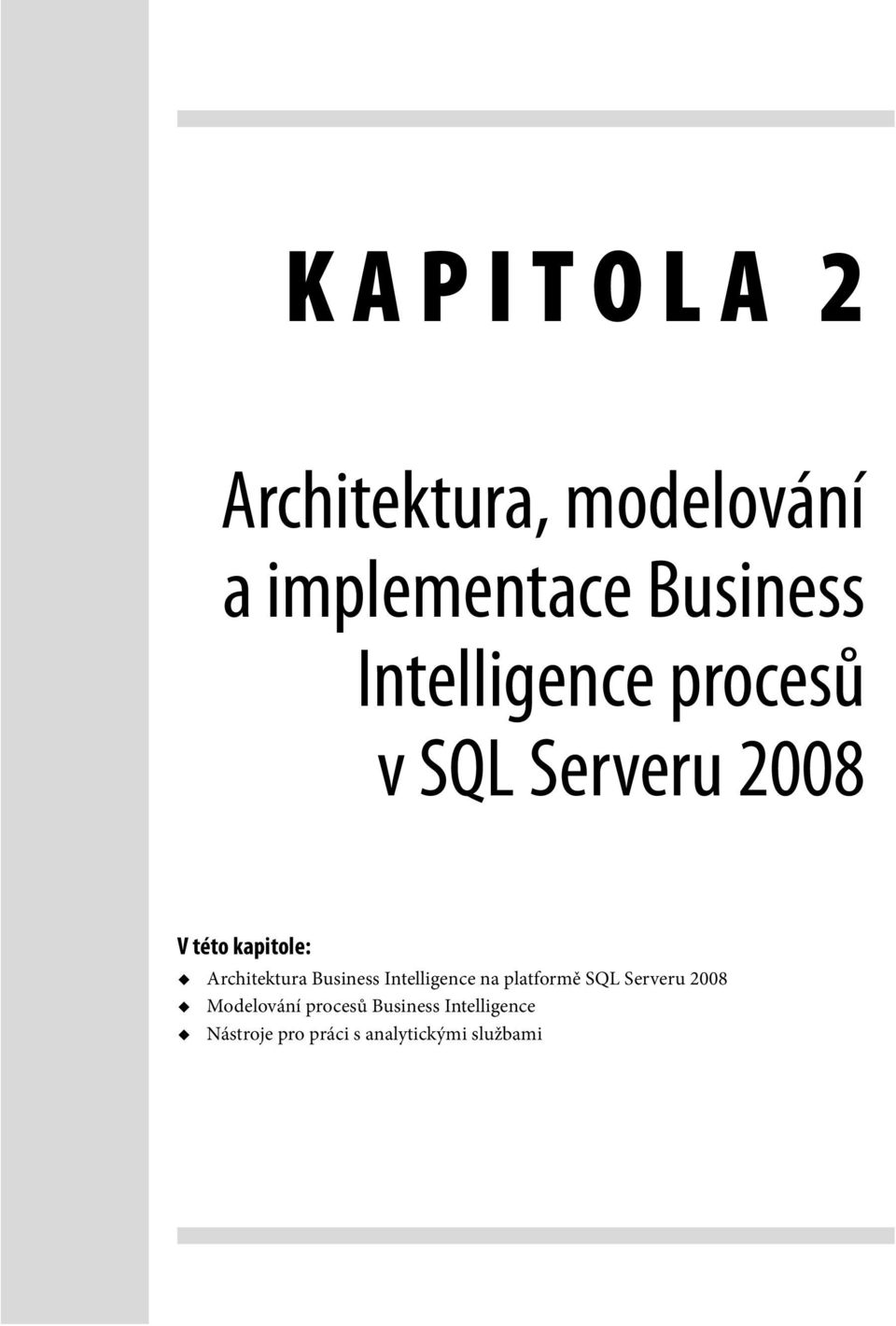 Architektura Business Intelligence na platformě SQL Serveru 2008