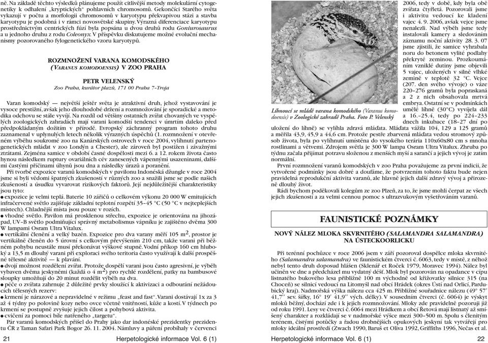 Výrazná diferenciace karyotypu prostřednictvým centrických fúzí byla popsána u dvou druhů rodu Goniurosaurus a u jednoho druhu z rodu Coleonyx.